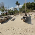 DSC01352